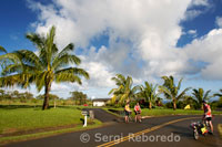 Baixada amb Bicicleta del Parc Nacional Heleakala Des de la carretera 365 FINS AL Cruïlla de Hana. Maui.